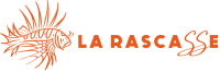 Logo Havana Plage
